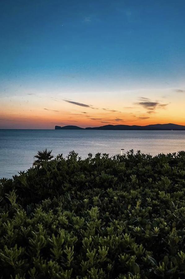 شقة H24 Vacanze Villanova Monteleone المظهر الخارجي الصورة